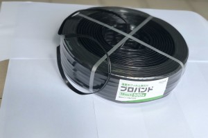 プロバンド